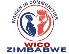 Women In Communities Zimbabwe